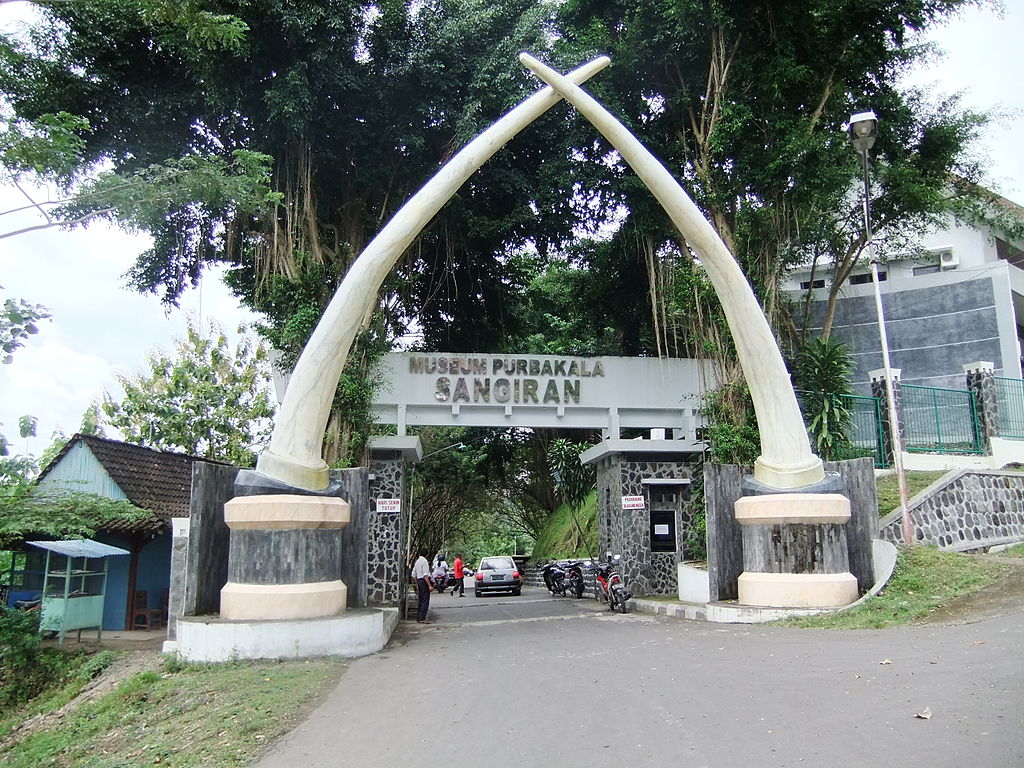 museum sangiran