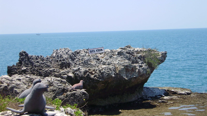 Tanjung kodok wisata alam lamongan jawa timur