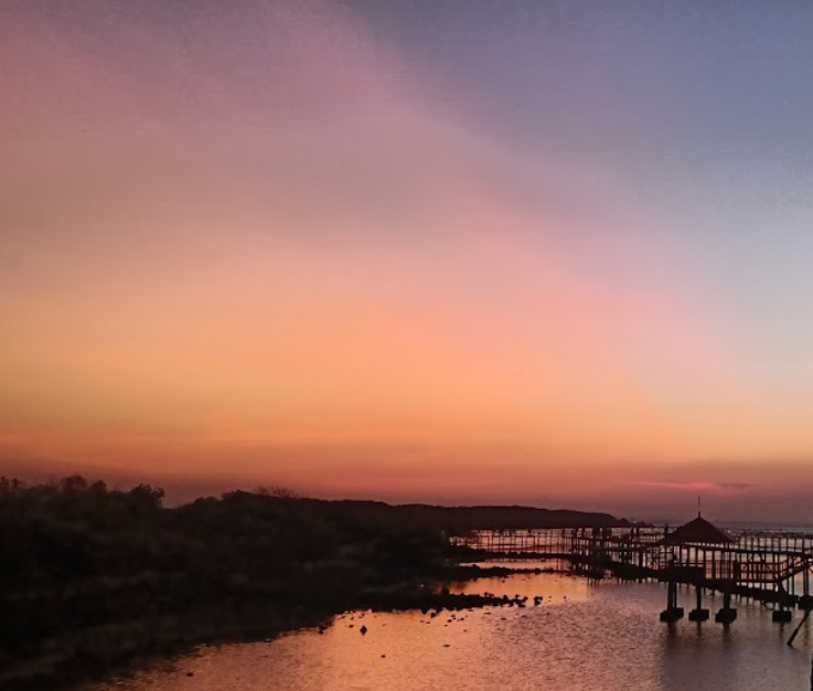 wisata alam pantai kutang lamongan jawa timur