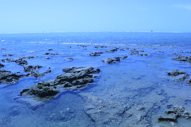 tanjung kodok