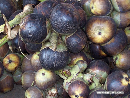 oleh-oleh khas lamongan siwalan