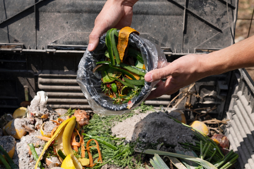 Food Waste