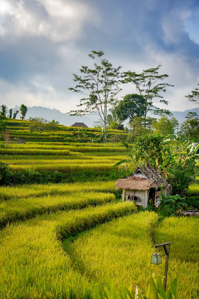 rumah adat bali -lumbung
