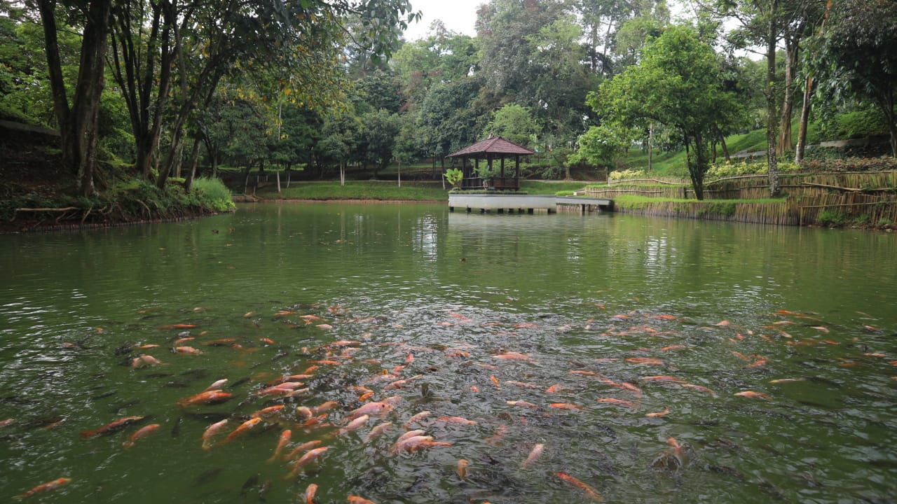 Telaga Inspirasi IPB