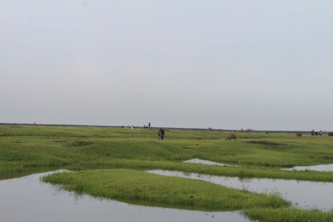 Padang Savana Pandanwangi
