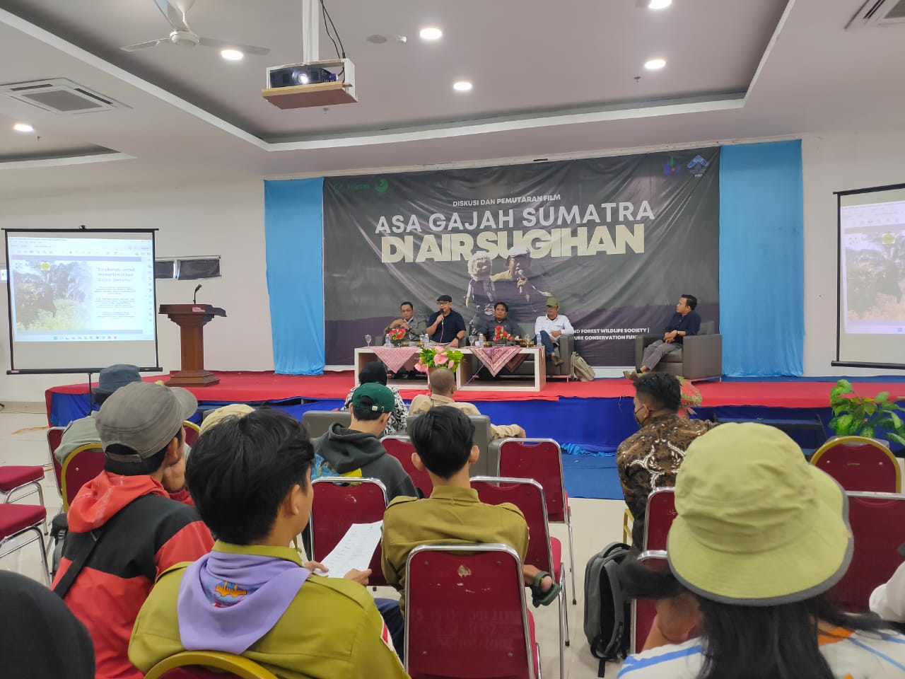 Asa Gajah Sumatra di Air Sugihan