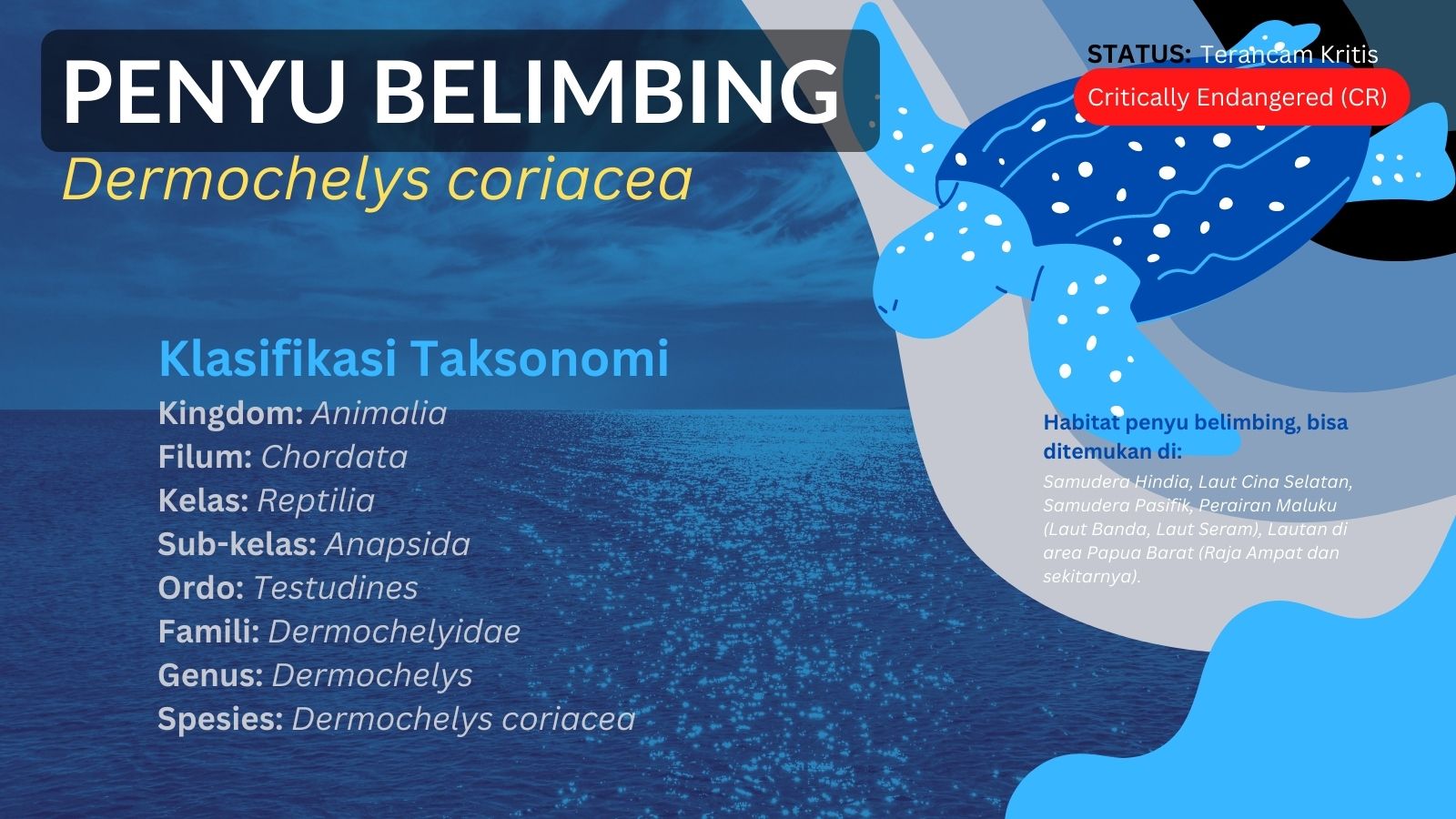 klasifikasi taksonomi penyu belimbing