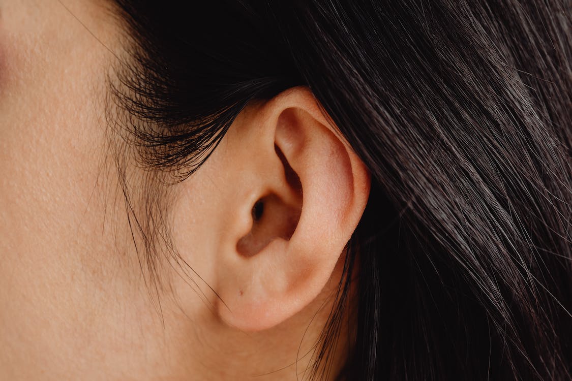 Jenis-jenis tunarungu dalam dunia medis : Karolina Grabowska/pexels.com
