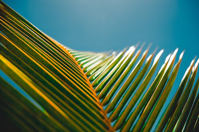 Pattern | Foto: Jakob Owens/Unsplash