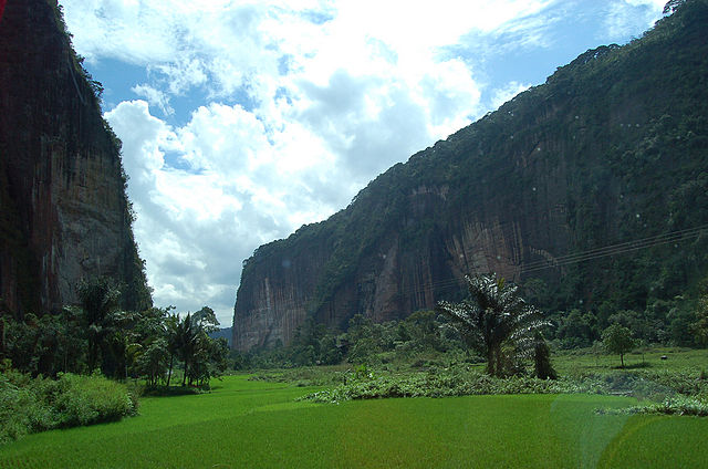 trekking dan panjat terbing di lembah harau