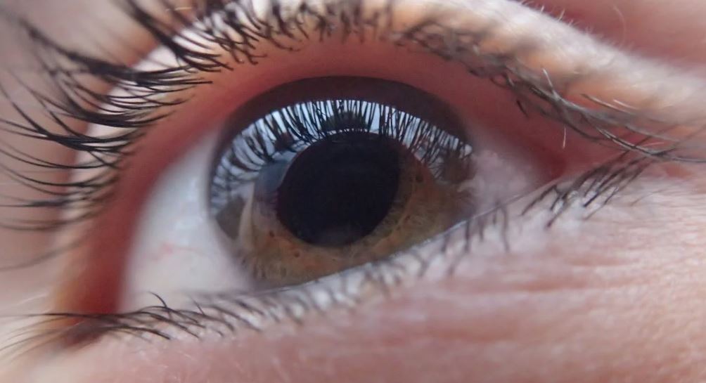 Apa itu Tunanetra? Cek Arti, Jenis, dan Penyebab Kebutaan secara Ringkas