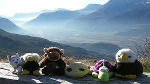 Toy Voyagers