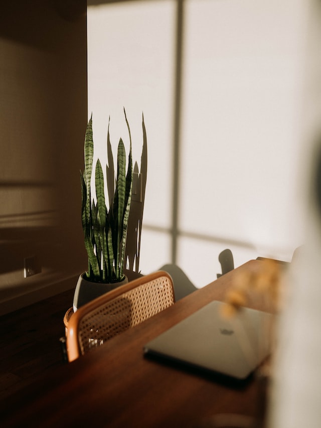 jenis pekerjaan freelance