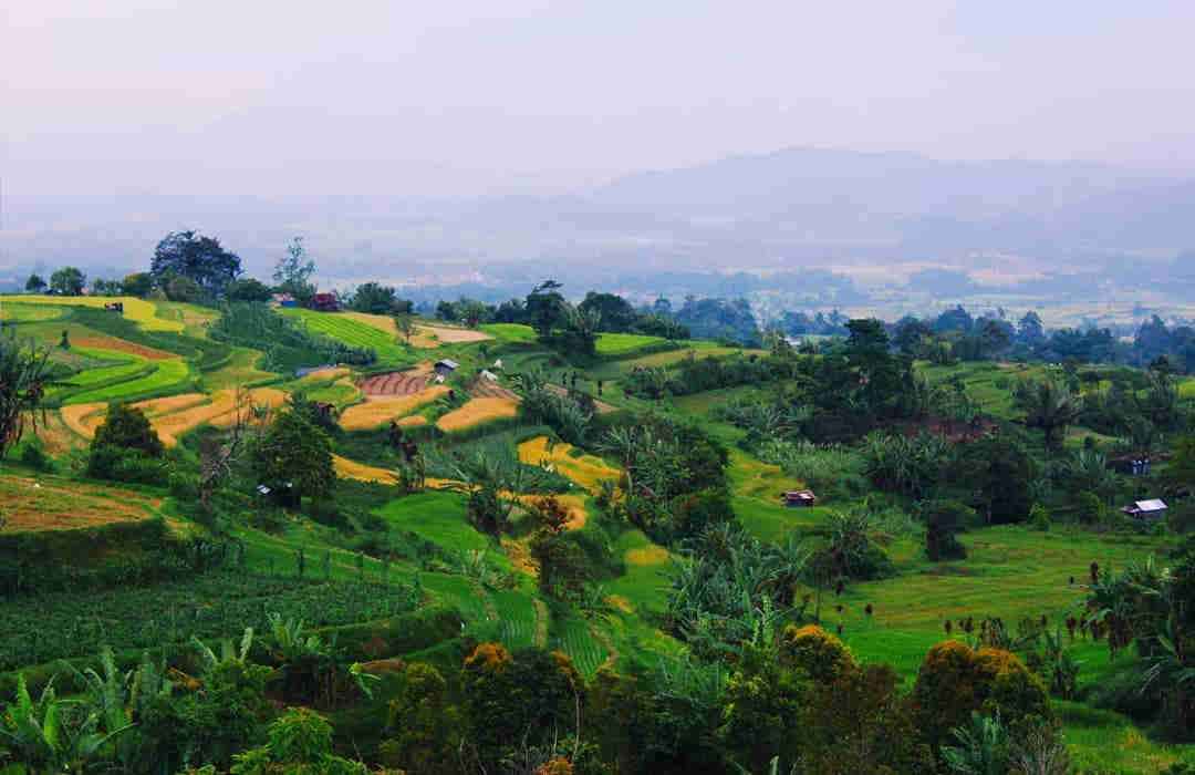 Potret Desa Pariangan | @laurin_grecsitha