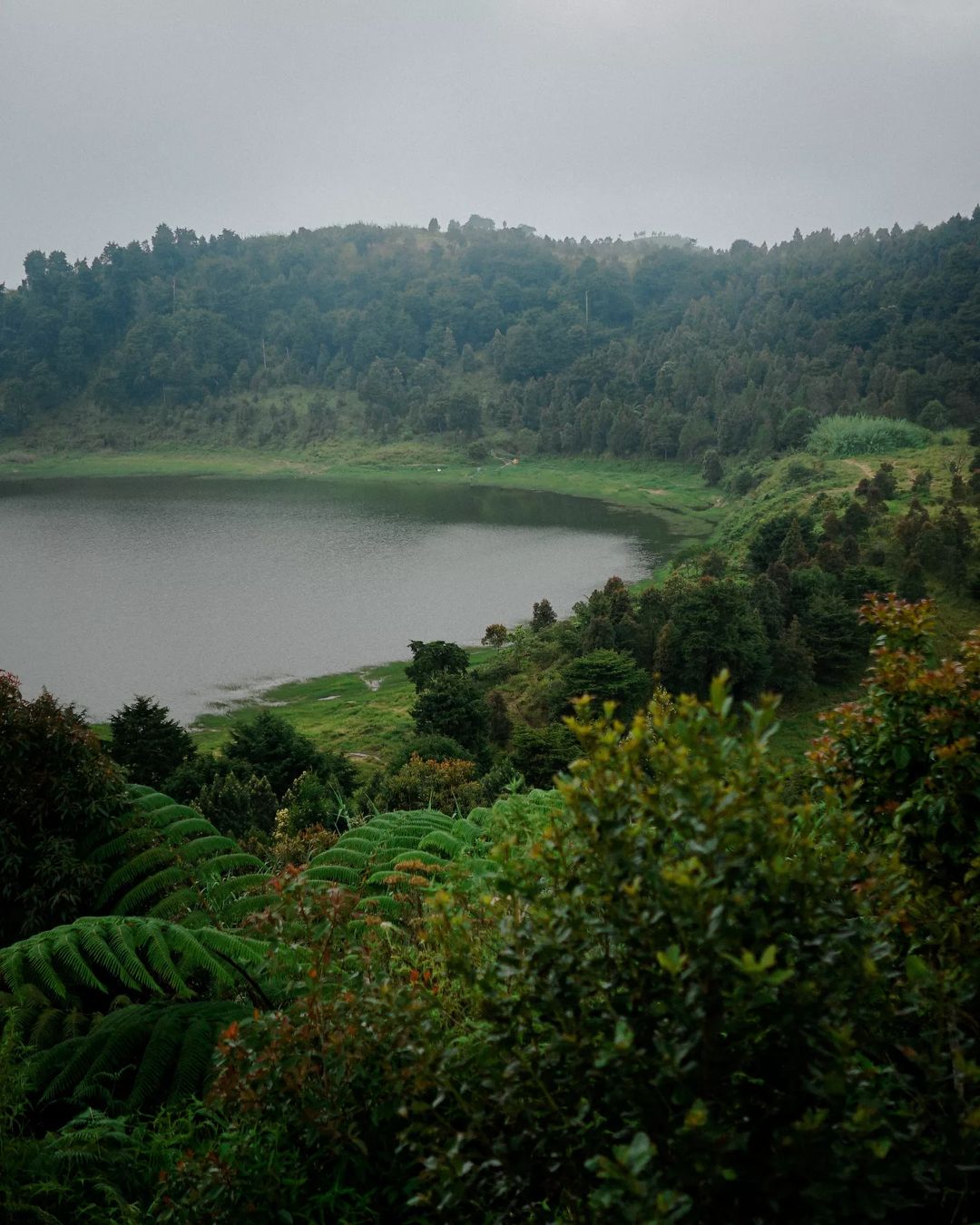 Telaga Dringo | Foto: instagram.com/ryanf_jr