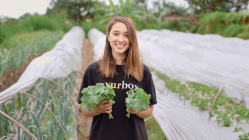 Amanda Susanti Santoso pendiri Sayurbox