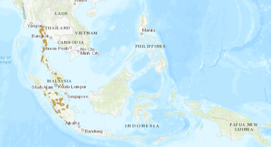 habitat tapir malaya