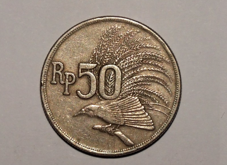 uang 50 rupiah