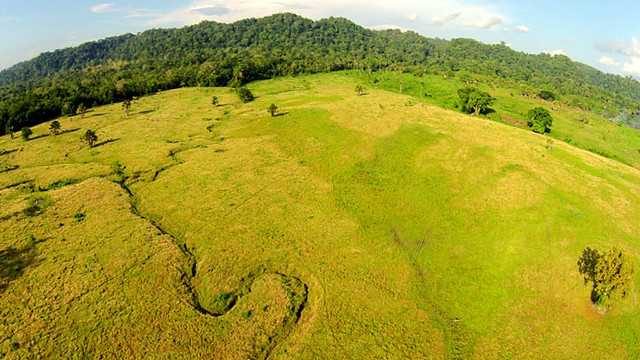 taman nasional alas purwo