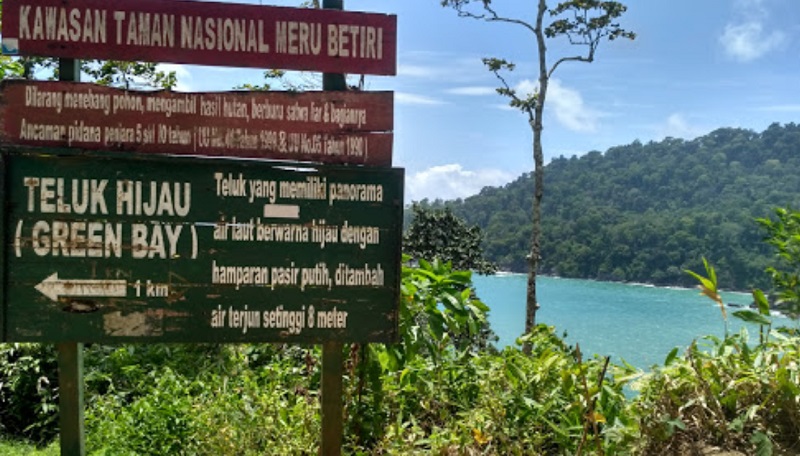 teluk hijau banyuwangi