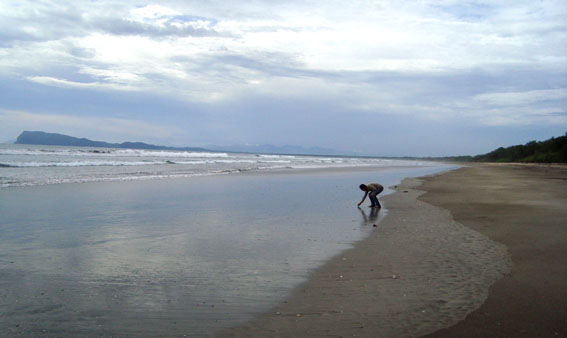 pantai trianggulasi