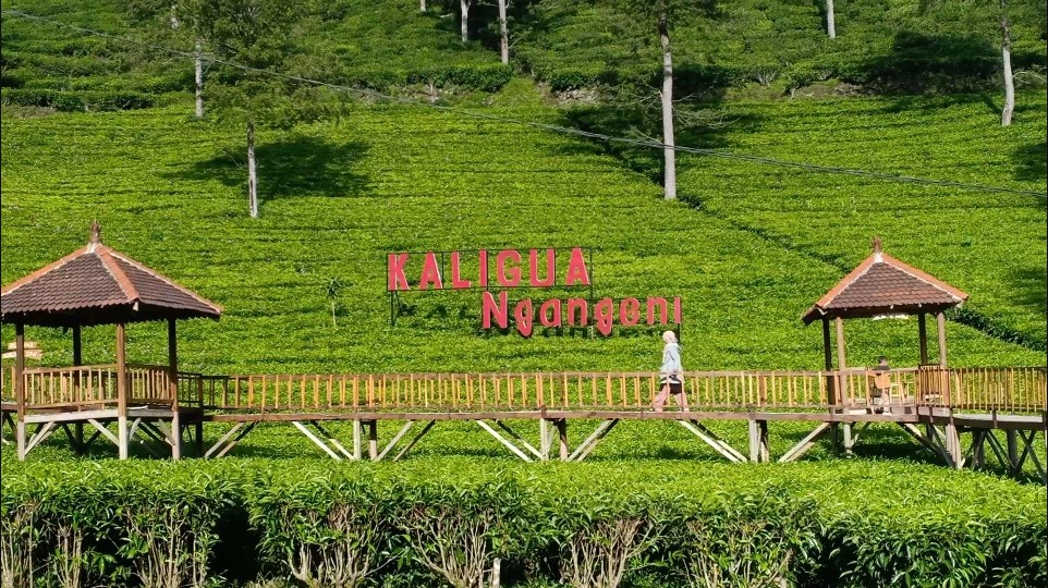 kali gua