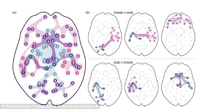 Brain Road Map