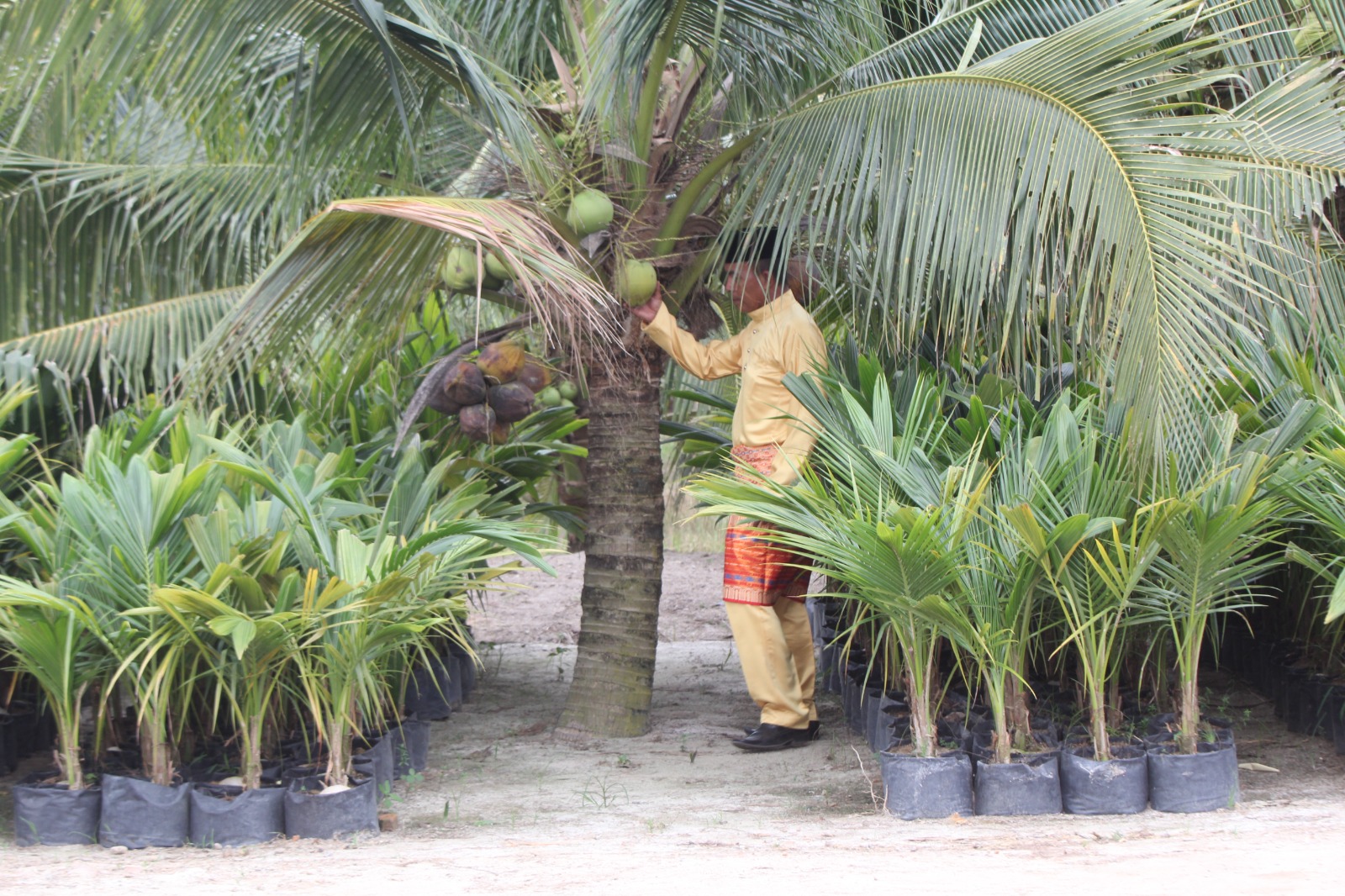 KBD Desa Pantai Cermin Kanan/DOK: ASTRA