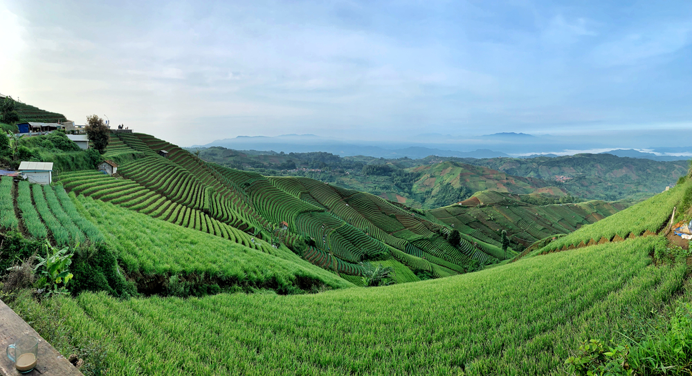 Sawah Majalengka/Shutterstock