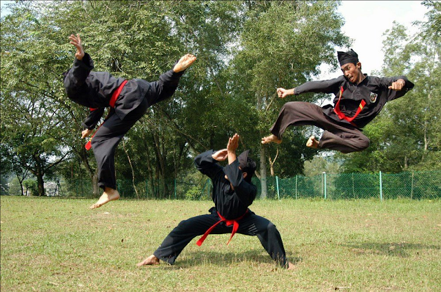 Pencak Silat