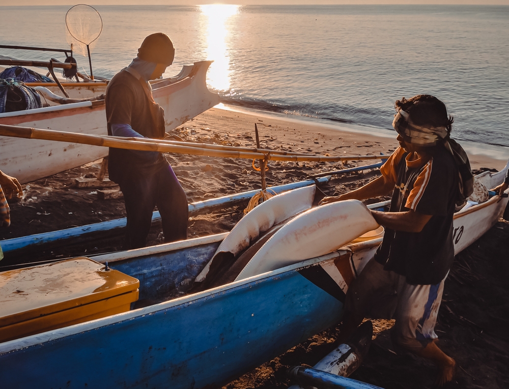 Nelayan Flores/Shutterstock