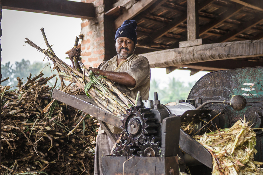 Industri Tebu/Shutterstock