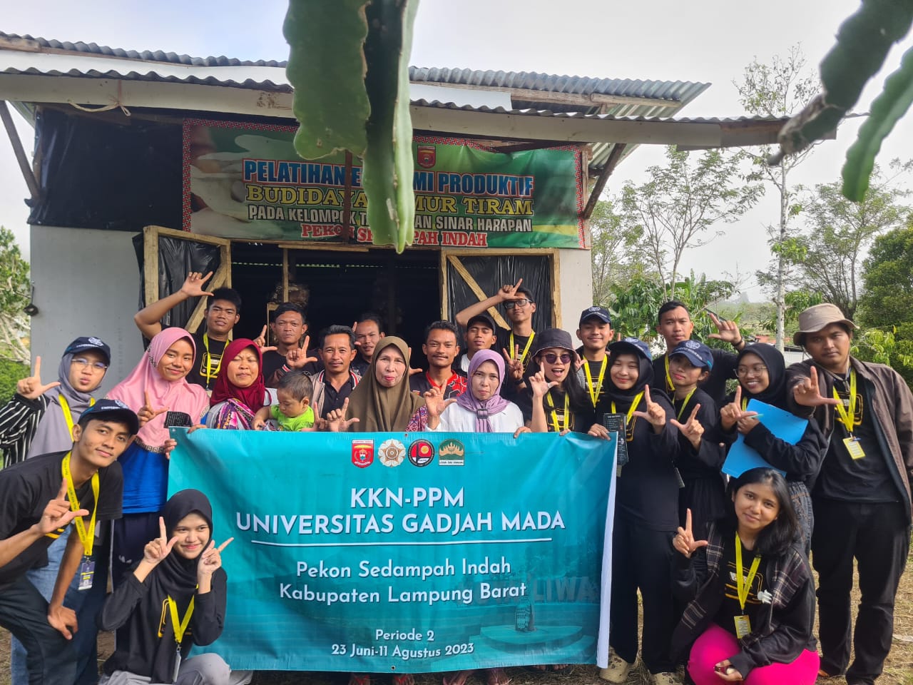 Tim KKN-PPM UGM melakukan sosialisasi dan demonstrasi pengolahan pupuk kompos limbah daun kopi