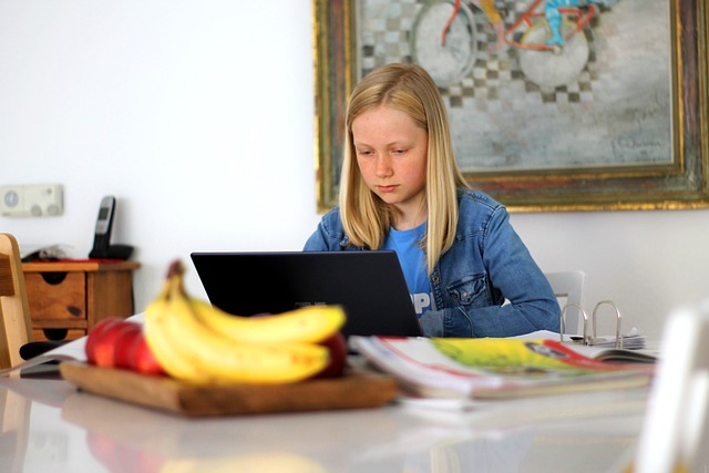 Pembelajaran Online Foto: Pixabay/ Muscat_Coach