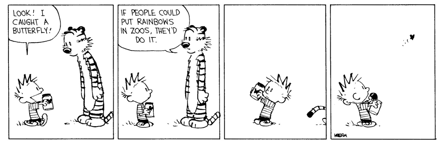 dok. Tufts Calvin and Hobbes