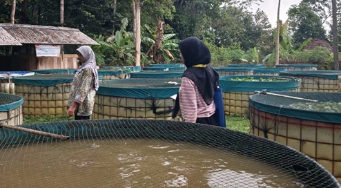 Pengembangan sektor budidaya ikan | Sumber: dokumentasi pribadi