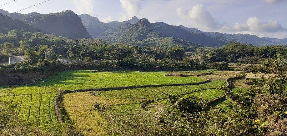 LANDSCAPE KABUPATEN BONE