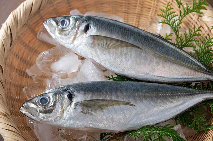 Ikan Kembung