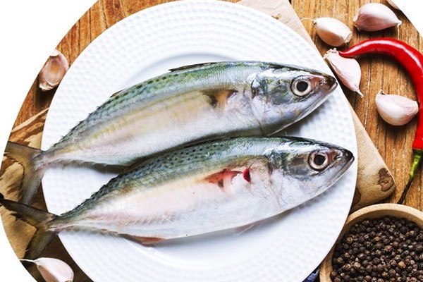 Ikan Kembung