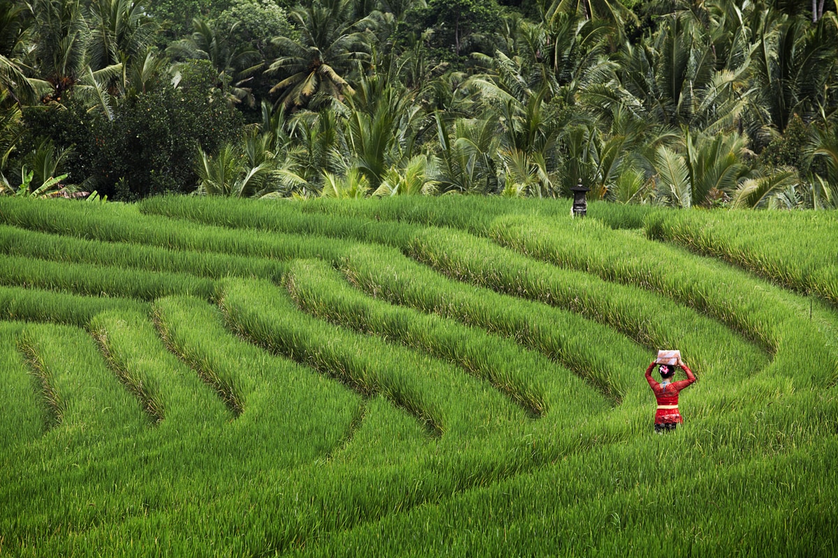 Subak Bali