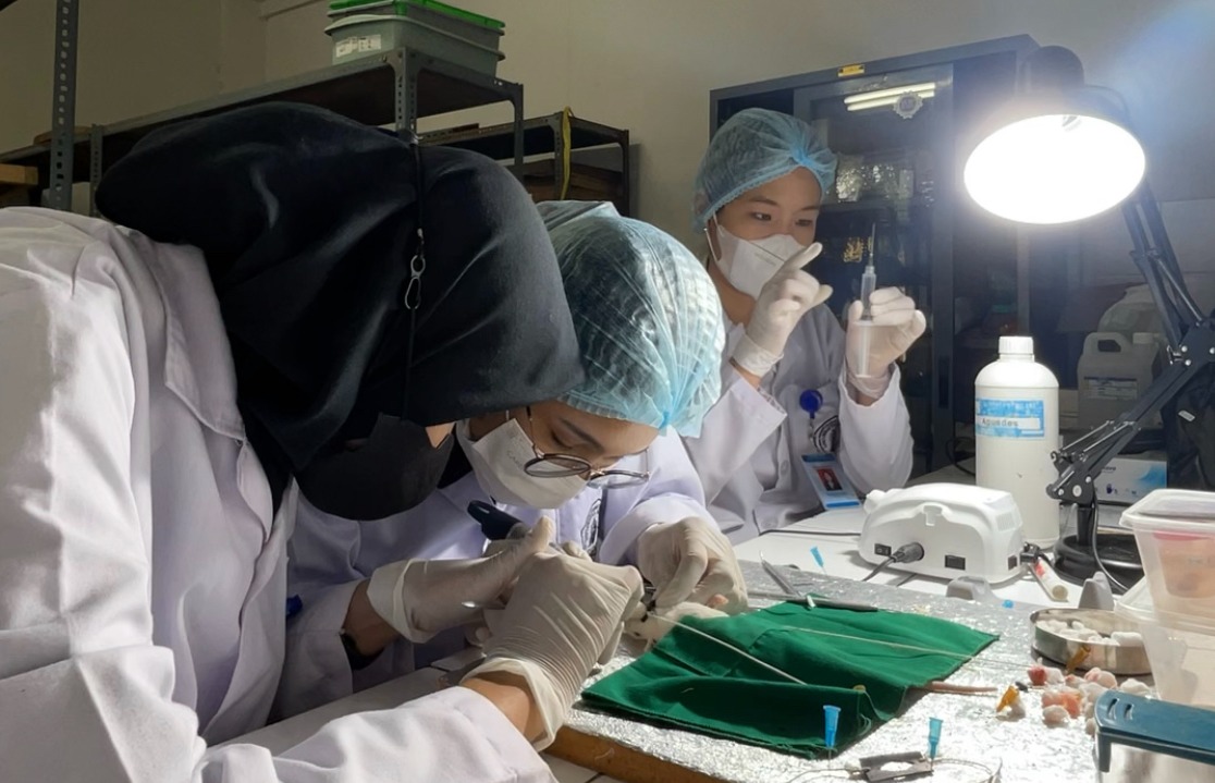 Perlakuan Pada Hewa Coba