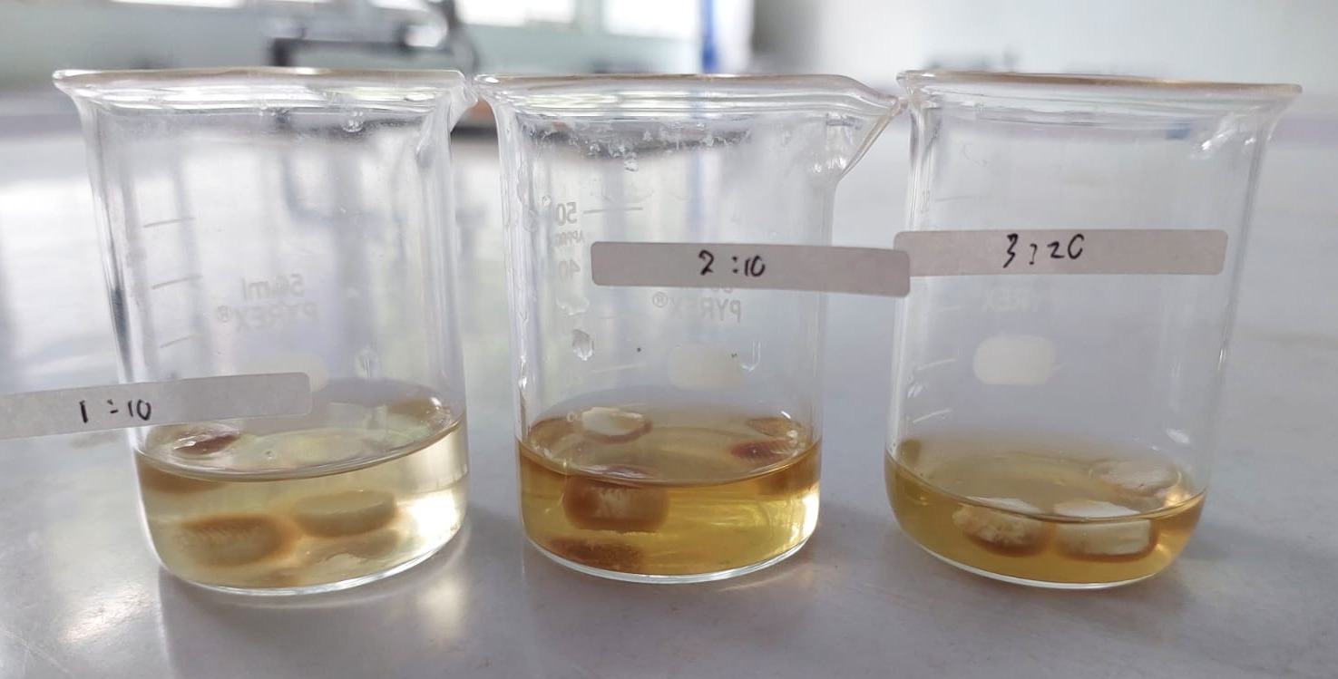 Deep Coating Hydrogel Ekstrak Asam Elagat dan Scaffold