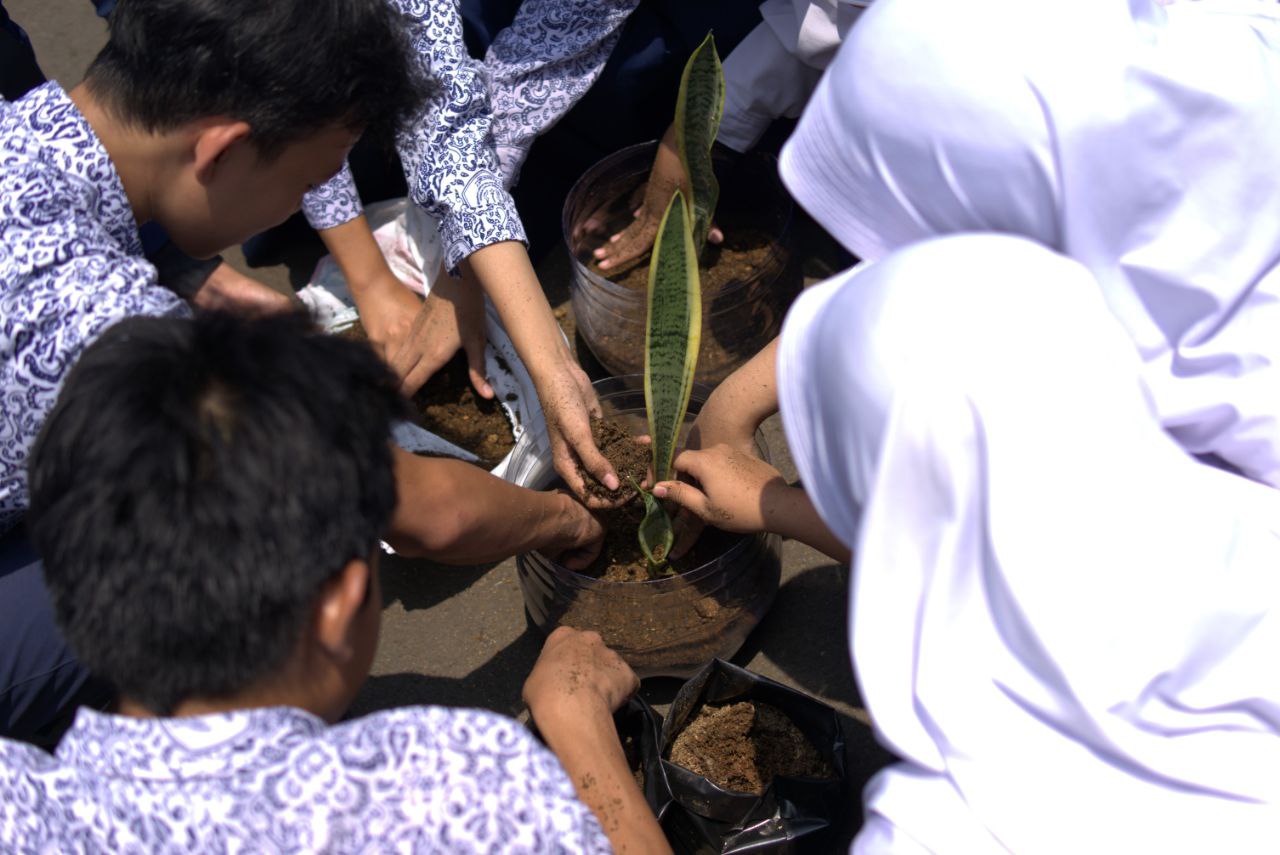 Siswa/i SMPN 8 bogor melakukan penanaman tanaman Sansevieria
