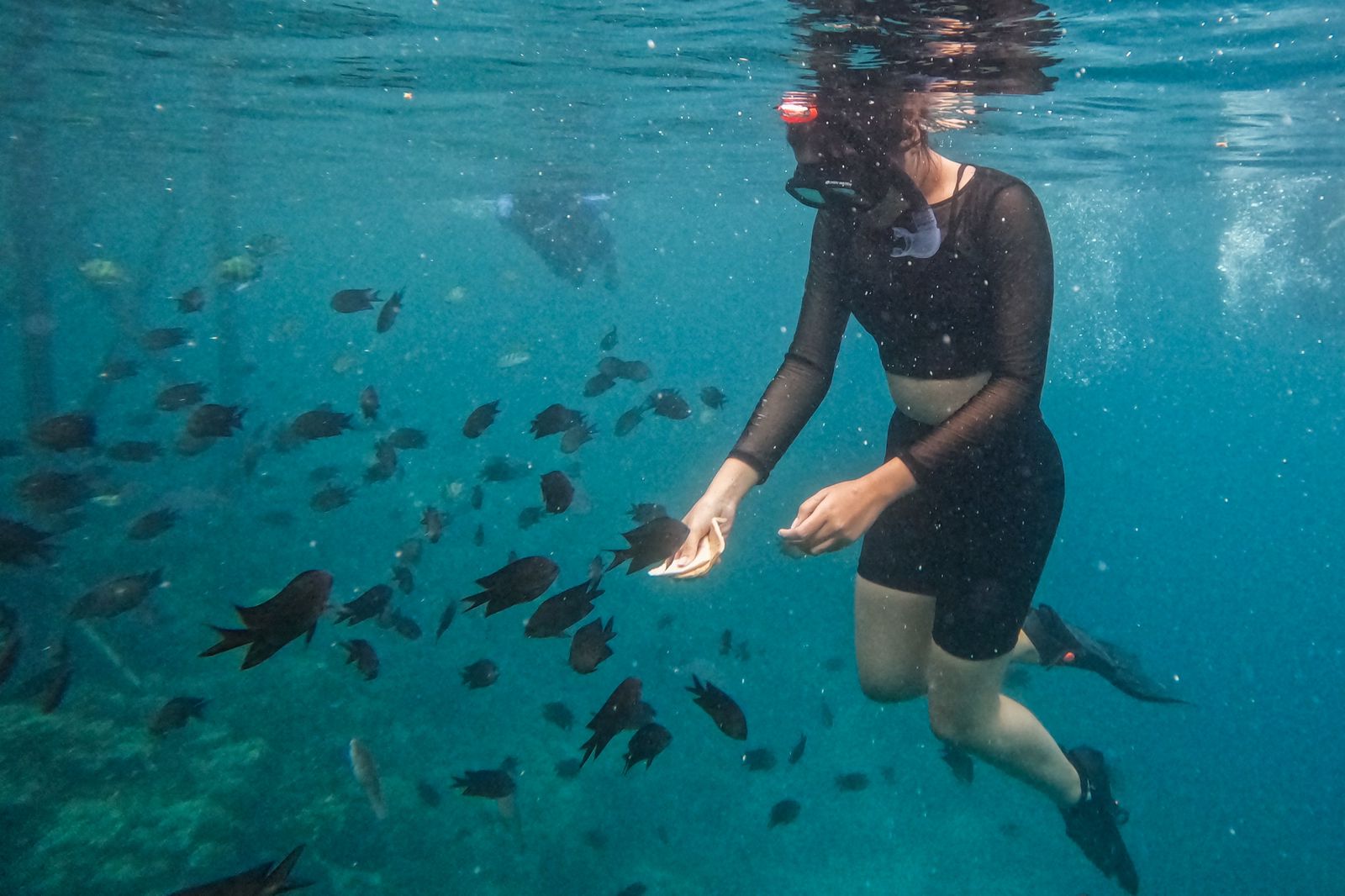 Marine Tourism IKN