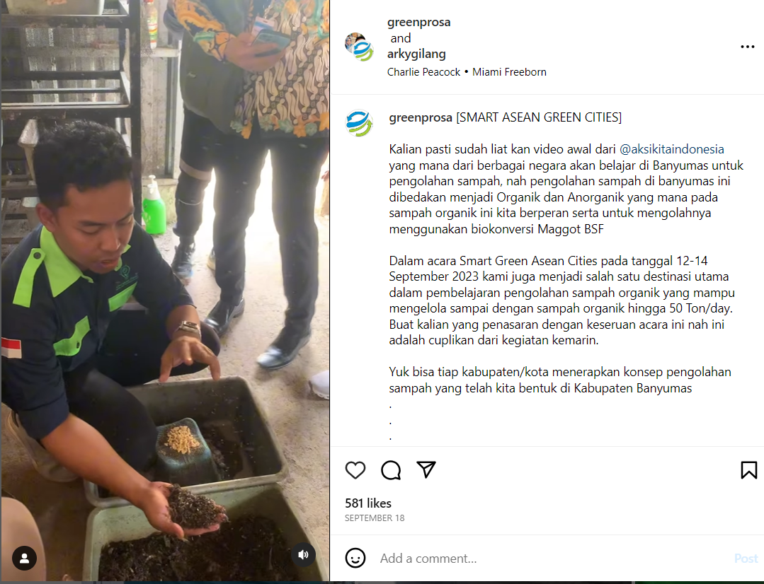 Budidaya Maggot