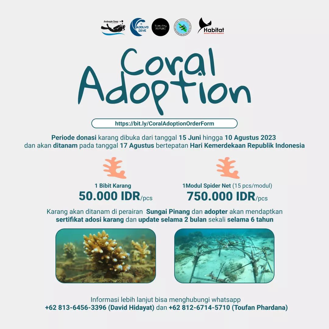 Program adopsi karang Andespin