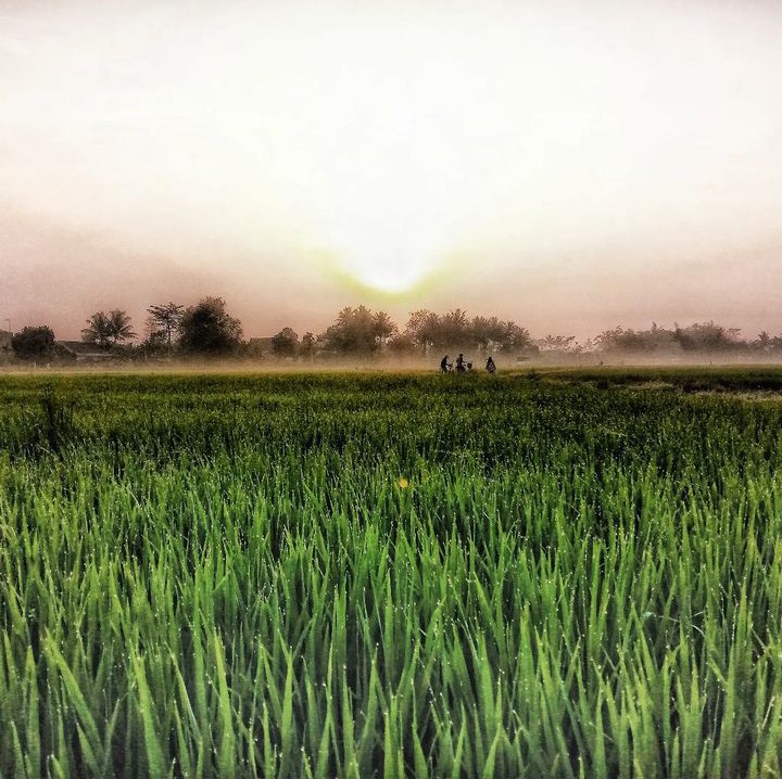 Morning Vibes | Ig: nugrohohadisambodo