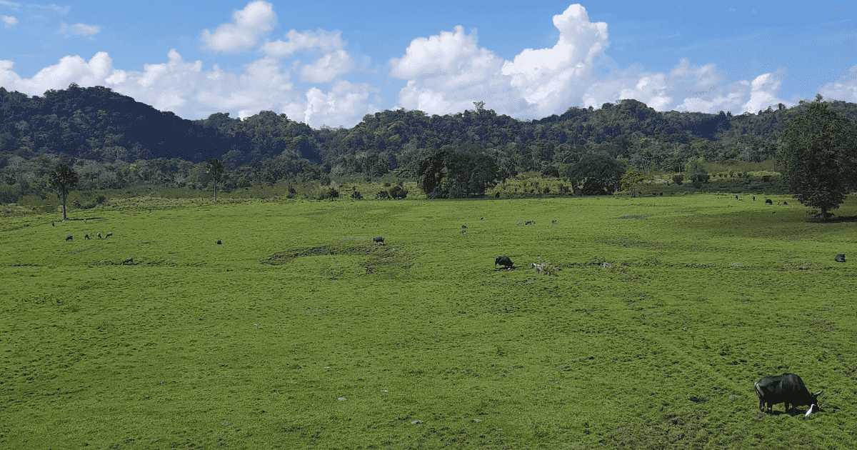 Savana Sadengan | Sumber: dokumentasi pribadi