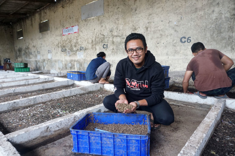 Bang Arky dan Maggotnya