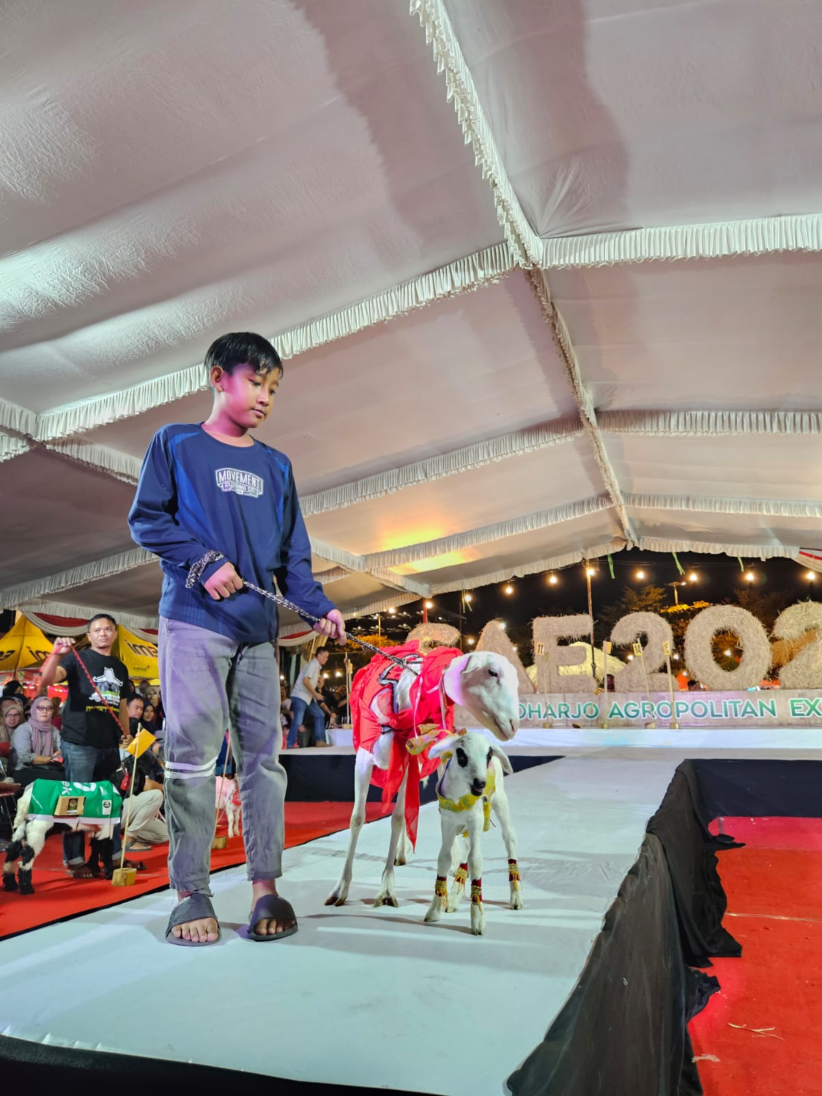 Peserta Fashion Sheep. Foto: Dok. pribadi